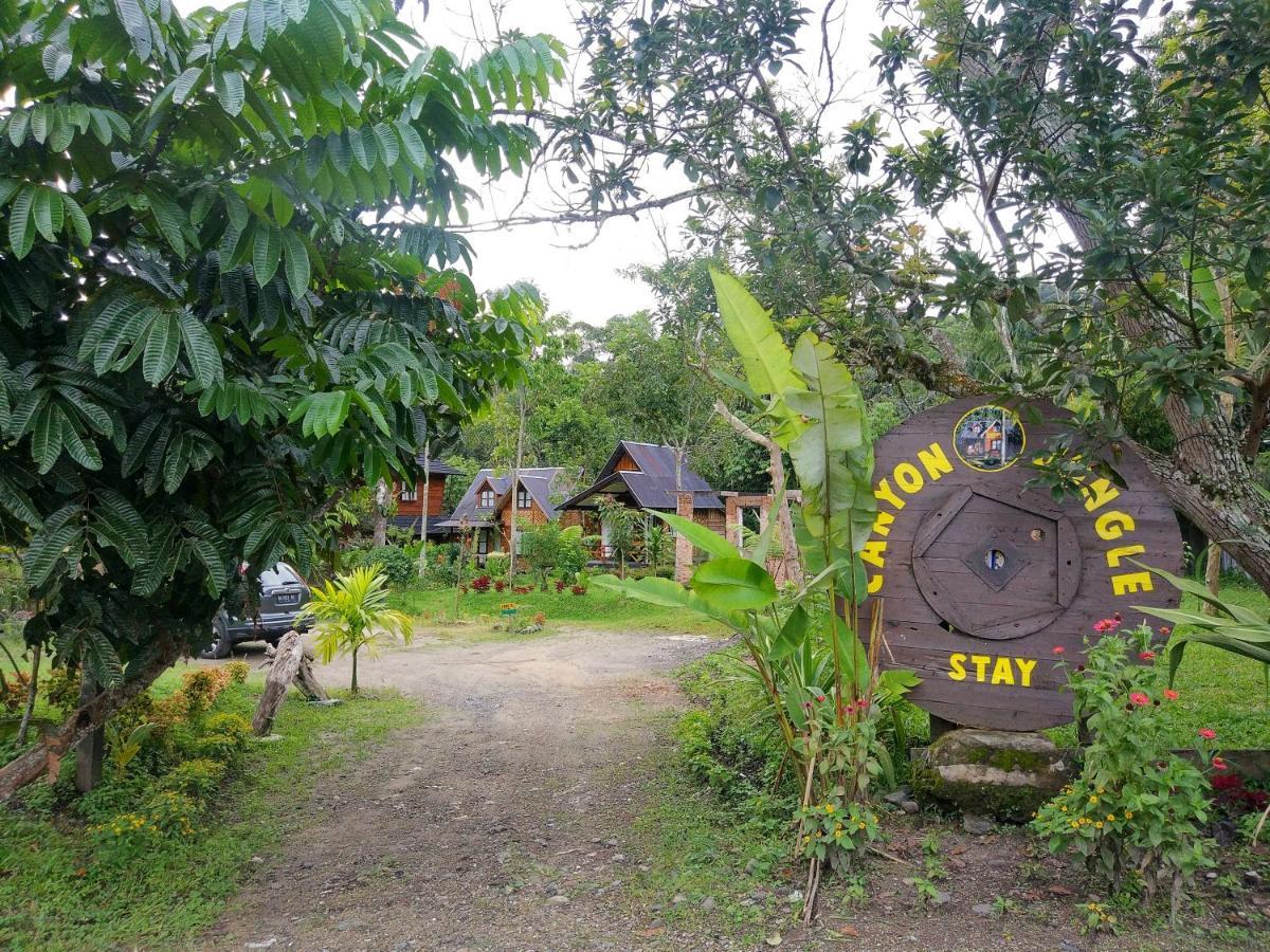 Canyon Jungle Stay Bukittinggi Bagian luar foto