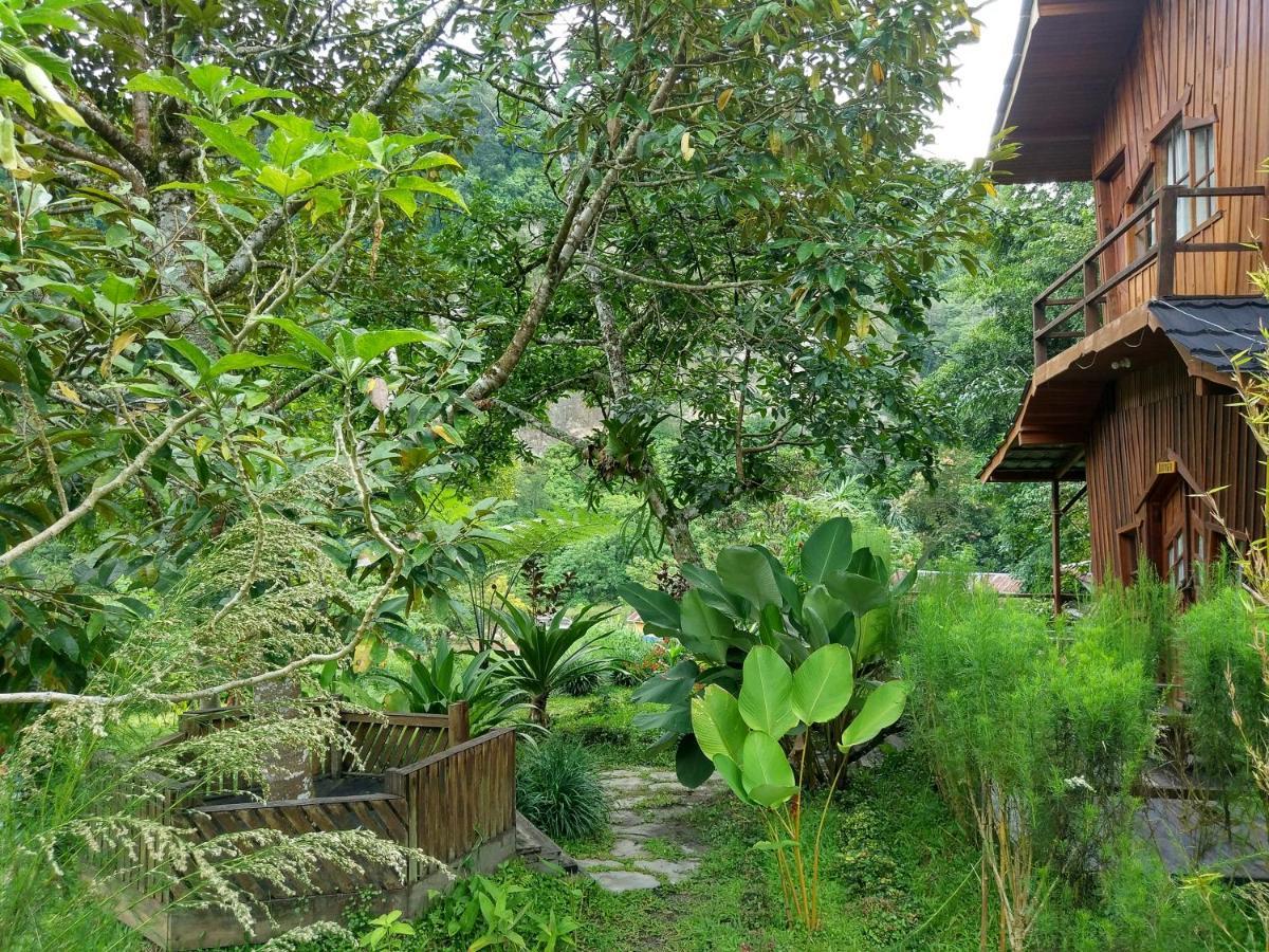 Canyon Jungle Stay Bukittinggi Bagian luar foto