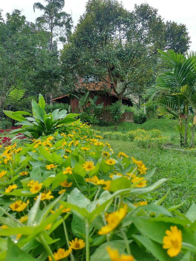 Canyon Jungle Stay Bukittinggi Bagian luar foto