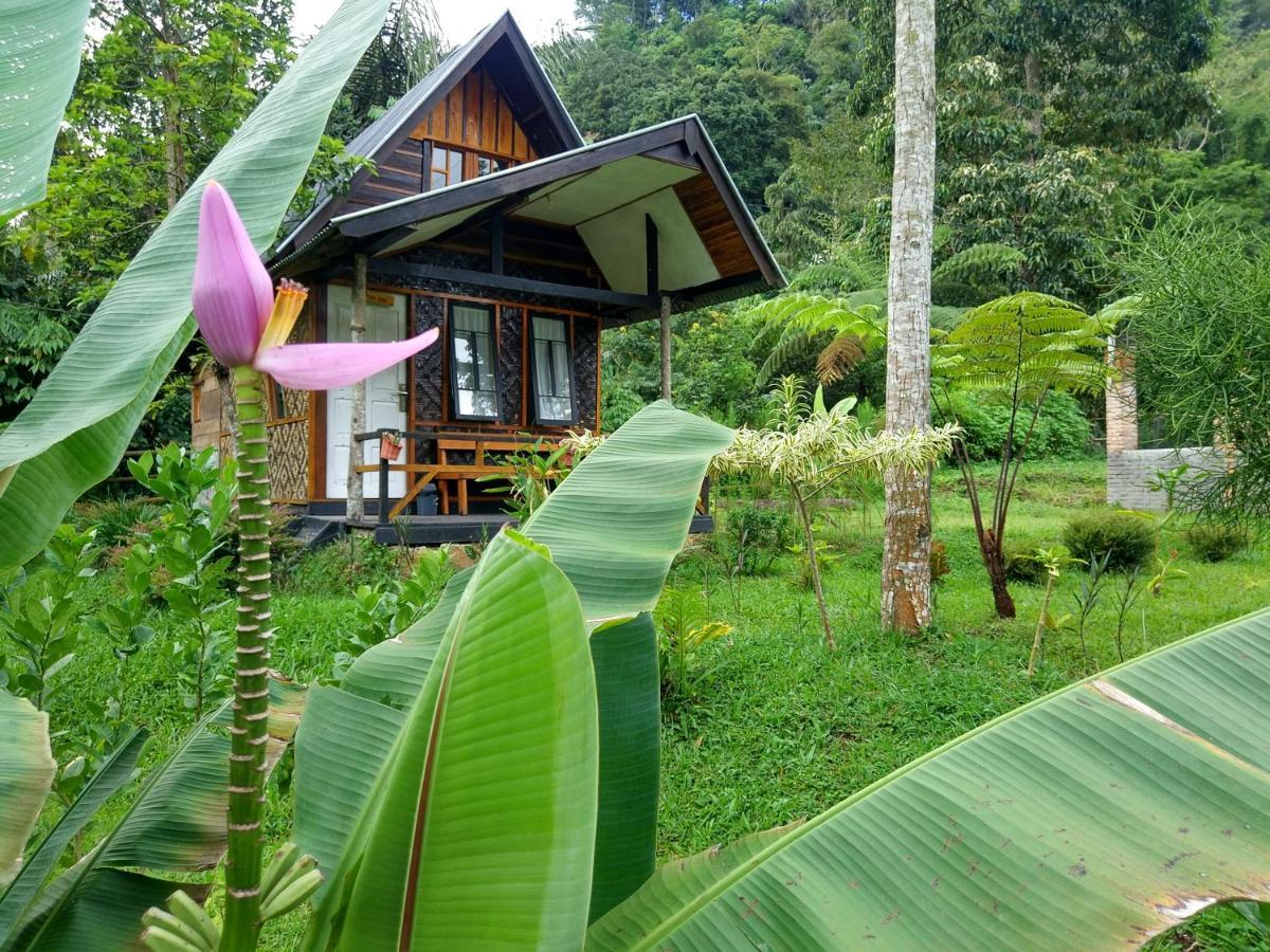 Canyon Jungle Stay Bukittinggi Bagian luar foto